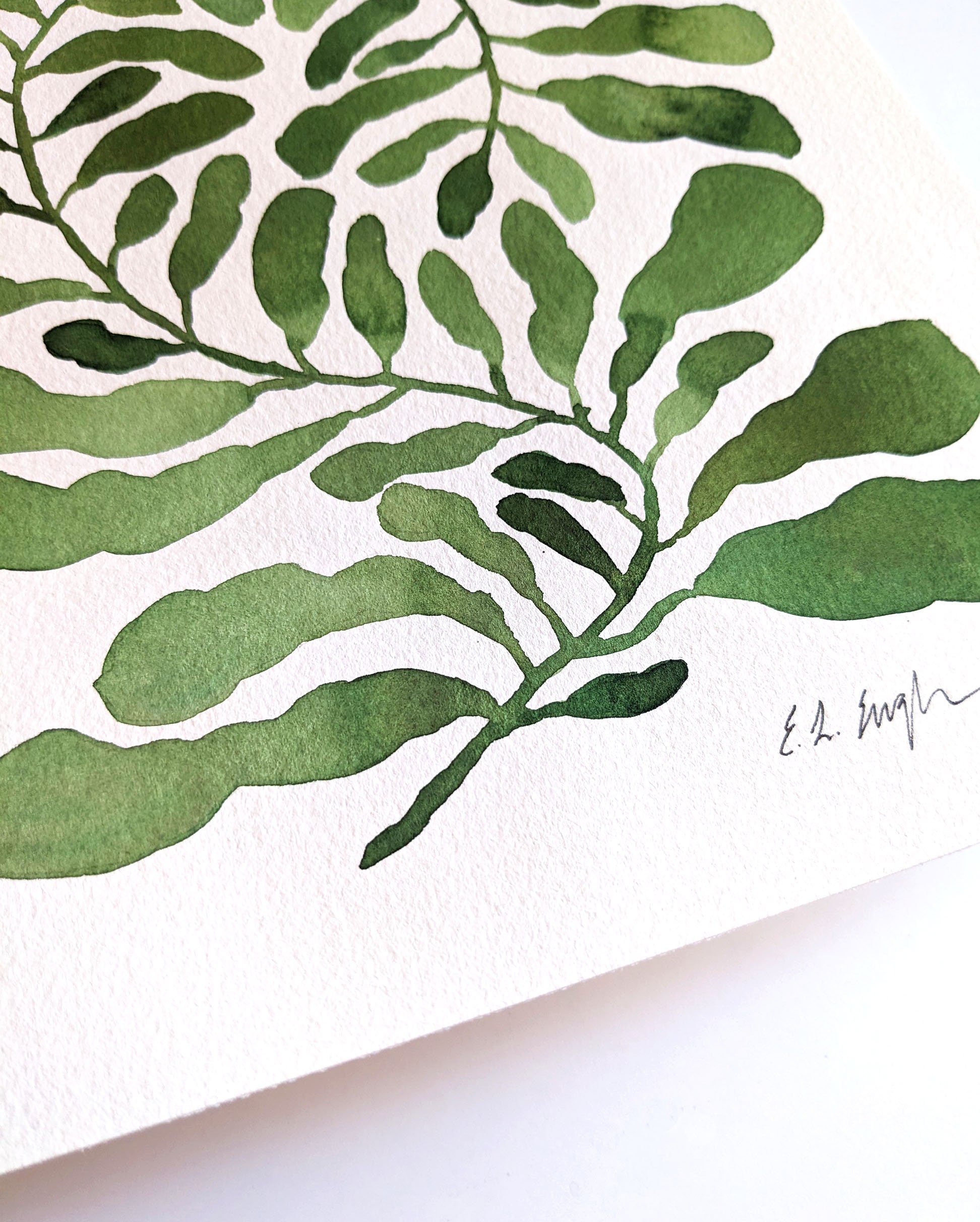 Original Abstract Botanical Art Modern Fern Painting Matisse Etsy