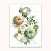 see more listings in the Original Food & Plants section