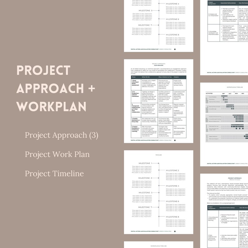 May include: A collection of project management documents, including a project approach, work plan, and timeline. The documents are printed on white paper with black text and are arranged against a neutral background. The title "PROJECT APPROACH + WORKPLAN" is prominently displayed.