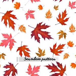Pode incluir: Um padrão contínuo apresentando uma variedade de folhas de bordo de outono em tons de vermelho vibrante, bordô profundo e laranja quente espalhadas sobre um fundo branco liso. O texto "Seamless pattern" está impresso em preto no centro.