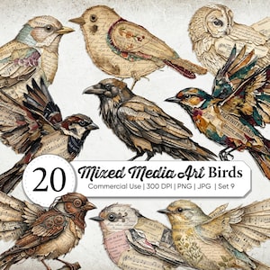 May include: A collection of twenty mixed media bird illustrations featuring vintage paper, musical scores, and handwritten text textures. The birds are depicted in various poses with intricate details, including a steampunk-inspired bird and a crow.