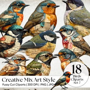 May include: A collection of 18 colorful bird clip art illustrations in a creative mix art style. The birds feature a variety of colors, including blue, orange, green, and brown. The text "Creative Mix Art Style" and "18 Birds Cliparts Set-7" is also visible.