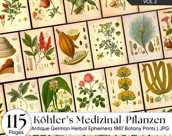 Antikes Apotheker Junk Journal Kit, 1887 Deutsche Kräuterillustrationen, Heilpflanzen Ephemera, Vintage botanische druckbare Illustration V-2
