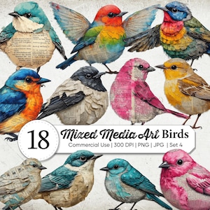 Op de afbeelding: Een collectie van 18 mixed media kunstvogels met diverse soorten, kleurrijk verenkleed en texturen van vintage krantencollages. De afbeelding bevat de tekst 18 Mixed Media Art Birds Commercial Use 300 DPI PNG JPG Set 4.