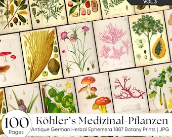 Antique Botanical Apothecary Junk Journal Pages, 1887 German Herbal Book, Vintage Ephemera Printable for Scrapbooking & Mixed Media Art