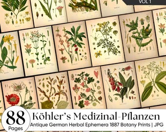 Vintage Apothecary Botanical Junk Journal Pages, 1887 German Herbal Book, Medicinal Plant Ephemera, Printable Scrapbooking & Mixed Media Art