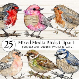 Technique mixte oiseau coupe difficile Clipart PNG - vintage oiseaux botaniques éphémères pour les journaux indésirables, le scrapbooking et le bricolage shabby chic - Texture grunge