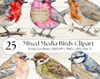 Mixed Media Vogel Fussy Schnitt Clipart PNG - Vintage botanische Vogel Ephemera für Junk Journals, Scrapbooking & Shabby Chic DIY - Grunge Texture