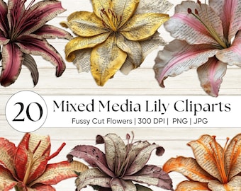 Mixed Media Lilie Clipart, Botanische PNG, Vintage Blumen Ephemera, Junk Journal Scrapbooking, Shabby Chic DIY Kunsthandwerk Antique Style Floral