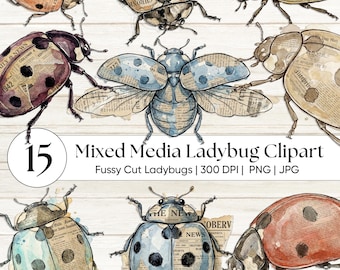Mixed Media Marienkäfer Clipart - Vintage Marienkäfer PNG, strukturierte Insekt Collage, Junk Journal Ephemera, Botanische Scrapbook Garten Grafik