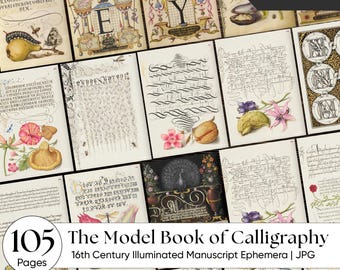 Calligraphy Junk Journal Kit | 16th Century Illuminated Manuscript Ephemera | Renaissance Script & Floral Printable Pages