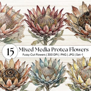 Puede incluir: Ilustraciones de acuarela de flores de protea en varios colores, incluyendo rojo, naranja y azul. Las flores tienen un diseño de técnica mixta con recortes de periódicos incorporados en los pétalos. La imagen incluye el texto "15 Mixed Media Protea Flowers".