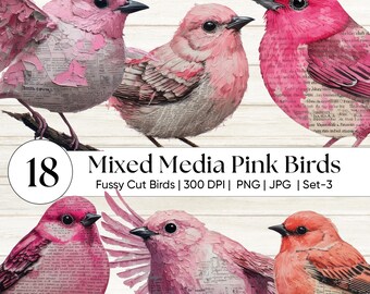 ミックスメディア ピンクの鳥の切り抜きクリップアート PNG - ジャンクジャーナル、スクラップブッキング、シャビーシック向けのヴィンテージ植物鳥のエフェメラ - グランジテクスチャ