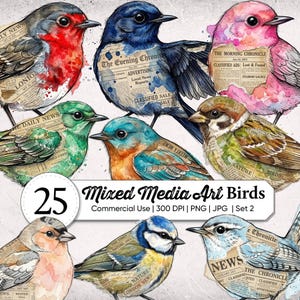 Op de afbeelding: Een verzameling aquarel illustraties van vogels in verschillende kleuren, waaronder rood, blauw, groen en roze. Elke vogel is versierd met texturen die op kranten lijken. De tekst "25 Mixed Media Art Birds" is ook aanwezig.