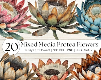 Mixed Media Protea Blume Clipart | Tropische antike Erdfarbenkunst | König Protea PNG | Fynbos Blumen Ephemera | Digitales Junk Journal Kit