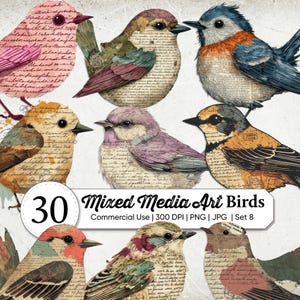 May include: A collection of digital illustrations featuring eight birds with mixed media textures, including vintage script and paper overlays. The birds display various colours like pink, blue, yellow, and brown. Text reads: 30 Mixed Media Art Birds.