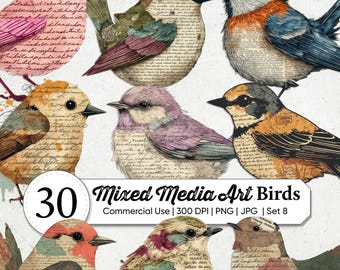 Mixed Media Bird Fussy Cut Clipart Bundle | Vintage Watercolor Bird PNG Ephemera | Grunge Texture Junk Journal & Scrapbooking Supplies Set-8