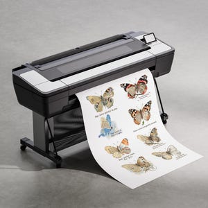 May include: A large format printer in black and white with a paper roll extending outward. The paper features a series of detailed butterfly illustrations in various colors, each accompanied by small printed text phrases in black ink.