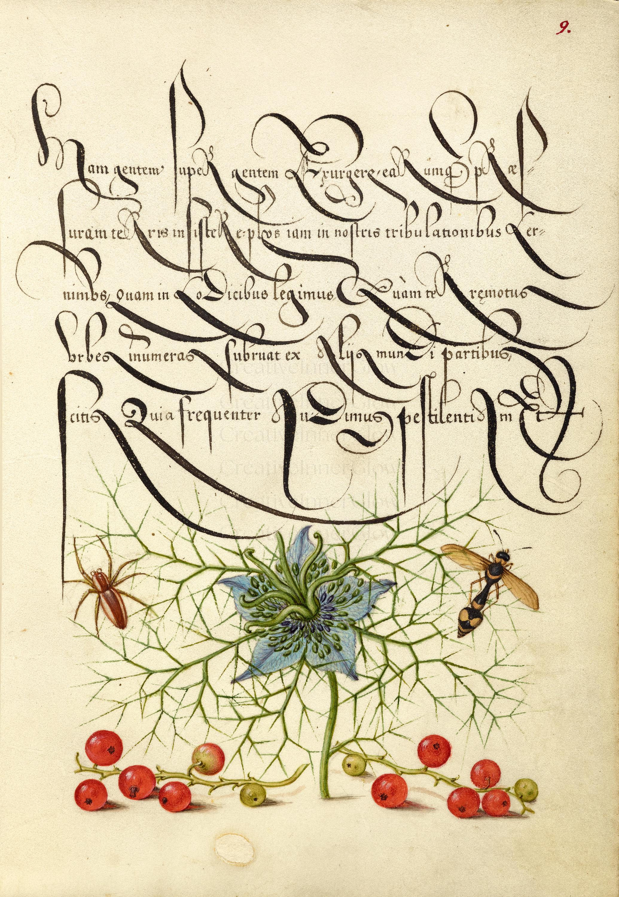 Fancy Renaissance Script Calligraphy Junk Journal Kit | 16th Century Illuminated Manuscript ...