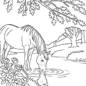 Può includere: Illustrazione in bianco e nero di un cavallo che beve acqua da uno stagno. Il cavallo è sotto un albero con foglie e ci sono fiori in primo piano. La scena è una pagina di un libro da colorare.