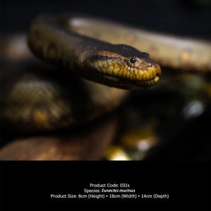 Puede incluir: Primer plano de una serpiente anaconda verde y marrón con cabeza amarilla y negra. La cabeza de la serpiente está enfocada, mostrando escamas y ojos detallados. Tamaño del producto: 6 cm (alto) * 16 cm (ancho) * 14 cm (profundidad).