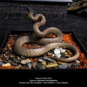 Estatua realista de Taipán del Interior, escultura detallada de serpiente en diorama, pieza de exhibición de vida silvestre para coleccionistas
