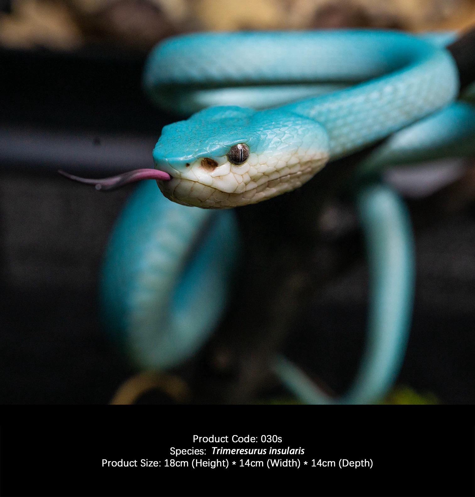 Pit viper snake - Etsy 日本