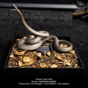 Escultura de cobra mamba-negra, diorama realista de Dendroaspis polylepis, decoração de mesa com tema de vida selvagem