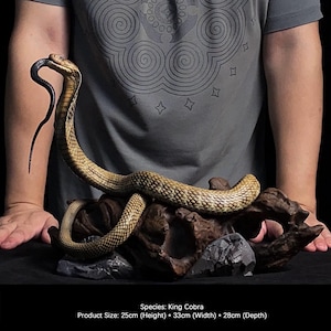 Escultura de Cobra-Rei – Arte Hiper-Realista Feita à Mão para Colecionadores