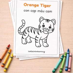 Könnte beinhalten: Ein Stapel Malvorlagen mit einer schwarz-weißen Tigerillustration und dem Text "Orange Tiger con cọp màu cam." Buntstifte in Orange, Gelb, Grün, Blau und Rosa liegen um die Seiten herum.