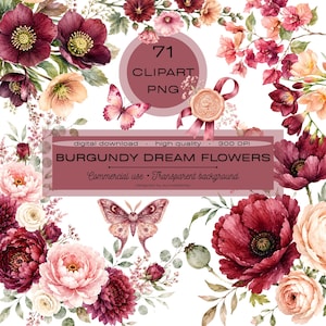 Vinröd drömblomma Clipart PNG-paket, höstbröllopsblommor Clipart, blush botaniska PNG, bruddusch, höstpyssel, kommersiellt bruk
