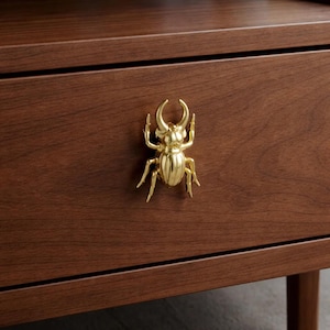 Gold Beetle Cabinet Knob: Detailed Insect Drawer Handle, Nature Decor Accent