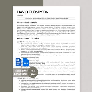 May include: A professional resume template on a white background with black text, featuring the name David Thompson at the top, sections for professional summary and experience, and icons for Word and DOC files with A4 size text overlay.