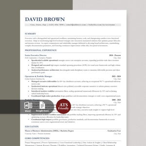 May include: A professional CV template for David Brown featuring sections for summary, professional experience, education, and core competencies. The document includes icons for Word and Google Docs, and a circular badge labelled ATS Friendly.