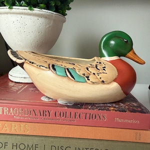 May include: A duck-shaped planter with a green head, orange chest, and beige body. The wings have teal and brown details. The planter is placed on a stack of books, including titles such as "Extraordinary Collections" and "Paris."