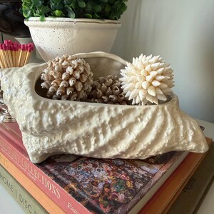 Maceta vintage iridiscente de concha japonesa, maceta grande de cerámica con forma de concha marina, decoración costera Grandmillennial, cuenco de concha de ostra nacarada