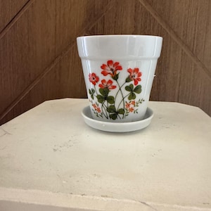 May include: A white ceramic flower pot with a matching saucer, featuring a painted botanical design of orange-red flowers and green clover-like leaves on the exterior. The pot has a flared rim and a smooth, glossy finish.