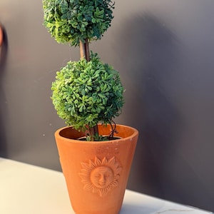 May include: A topiary plant with two stacked green spherical foliage balls on a central stem, planted in a terracotta-coloured pot featuring a raised, embossed sun face design on the front exterior surface of the container.