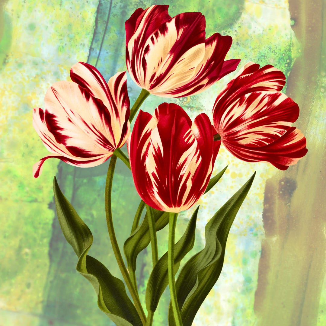 Tulip Wall Art Printable, Spring Flower Decor, Flower Decor, Floral ...