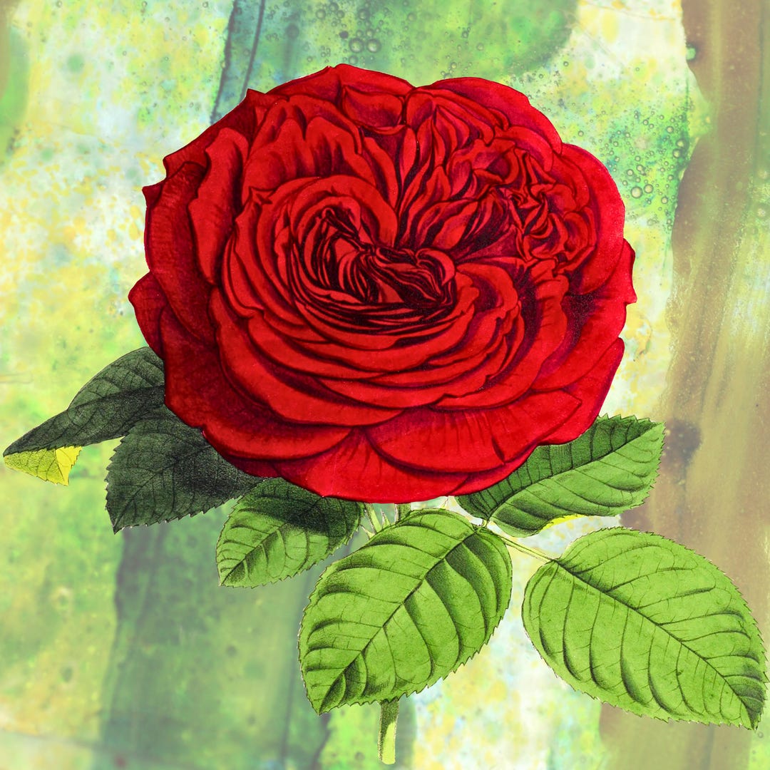 Red Rose Wall Art Printable, Floral Digital Download, Romantic Flower ...