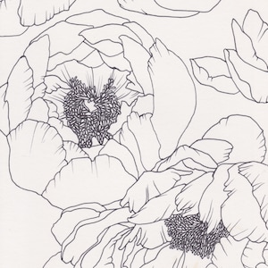 Black and White Peonies Coloring Page