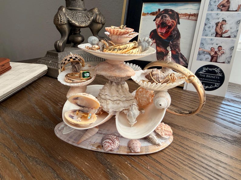 May include: A multi-tiered jewelry organizer constructed from various natural seashells. The structure features several open shells serving as trays for rings, bracelets, and earrings, with a central large conch shell base and a gold-toned bangle.