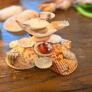 May include: A decorative sculpture constructed from various seashells in shades of tan, brown, and white. The structure features a layered arrangement of scallop, spiral, and clam shells, accented with small white spherical beads nestled inside.