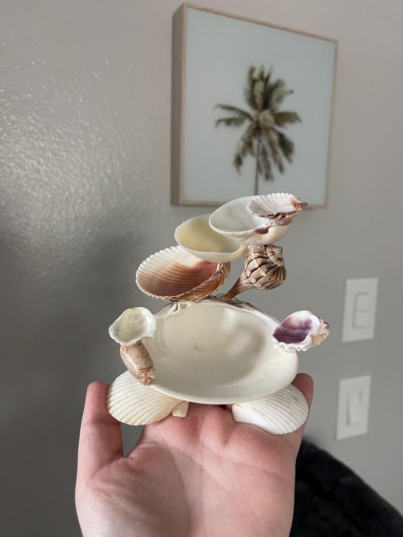 May include: A decorative sculpture constructed from various natural seashells arranged in a tiered, multi-level structure. The piece features a central bowl-like shell base supported by larger white shells, with smaller, varied shells attached to create elevated platforms and edges.