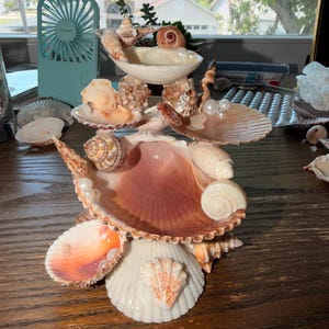 May include: A tiered decorative sculpture constructed from various seashells and white pearls. The structure features multiple levels of interconnected bivalve and spiral shells in shades of cream, tan, and brown, arranged to form a central display piece.