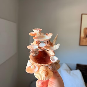 May include: A decorative sculpture constructed from various natural seashells in shades of tan, cream, and brown, arranged in a tiered, vertical formation. The structure incorporates small white spherical pearls nestled within the shell openings.