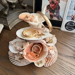 Shell Accessories