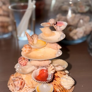 May include: A tiered decorative sculpture constructed from various seashells and small white faux pearls. The structure features multiple levels of stacked bivalve and spiral shells in shades of cream, tan, orange, and brown, arranged in a conical shape.