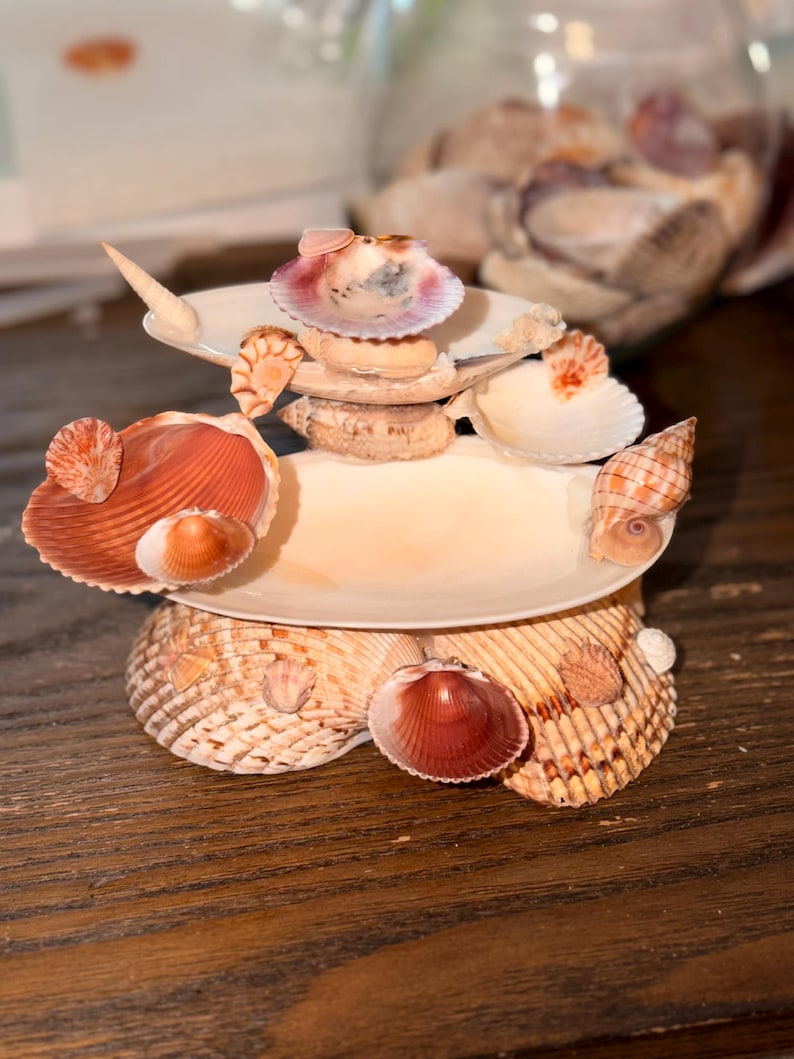 May include: A tiered decorative stand constructed from various seashells. The base consists of large, textured, tan and brown cockle shells. Two smooth, oval, off-white plates are stacked and supported by smaller shells, including orange, pink, and white varieties.