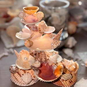 May include: A tiered decorative sculpture constructed from various seashells in shades of tan, brown, and cream, accented with small white spherical beads. The structure features multiple layers of shells arranged in a vertical, stacked formation.